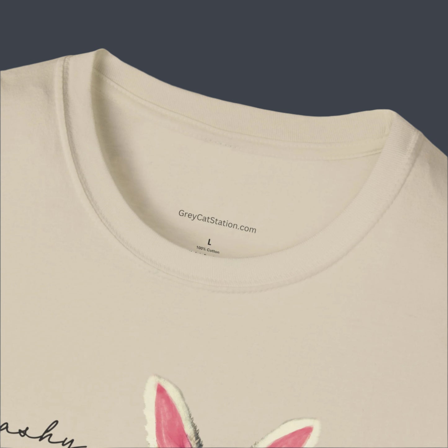 Quirky Raccoon T-Shirt